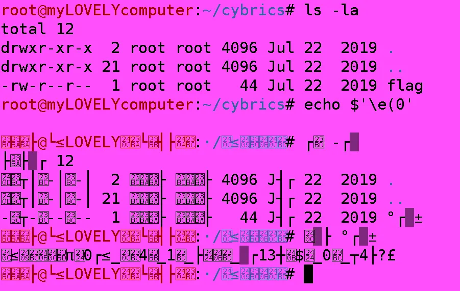 Garbled terminal output that hides the commands and the flag
